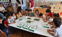 Antalya’da minikler ipekböceğiyle tanıştı