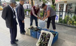 Antalya’da üretici zarar etti serasını halka açtı