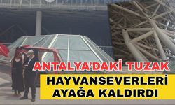 Antalya’daki hayvan tuzağı hayvanseverleri ayağa kaldırdı