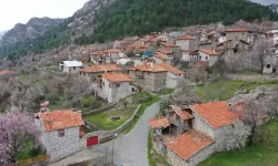 Antalya’nın Akseki İlçesi’ndeki terapi taşının gerçeği ortaya çıktı