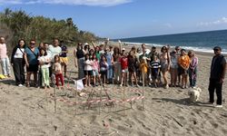 Gazipaşa’da caretta cerattalar ilk yumurtalarını bıraktı