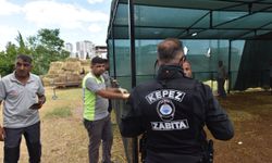 Kepez Belediyesi bu davranışlara izin vermeyecek