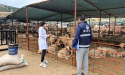 Kepez Belediyesi’nden derinlemesine inceleme