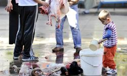 Kurban Bayramı’nda çocuklara travma yaşatmayın
