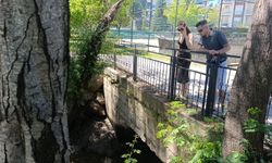 Manavgat Irmağı'nda endişelendiren görüntü