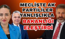 Mecliste Ak Partililer yanlışlıkla bakanlığı eleştirdi