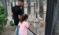 Tatilciler akın akın Tarsus Doğa Parkı’na gitti