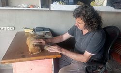 13 yıldır Çiko’ya gözü gibi bakıyor