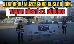 Nekropol Müzesi’nde kuşlar için yaşam nöbeti 33. gününde