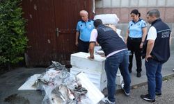 Antalya Otogarı’nda kaçak balık operasyonu