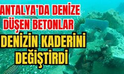 Antalya’da denize düşen betonlar denizin kaderini değiştirdi