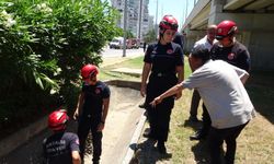 Antalya’da ekipler alarma geçti gerçek şaşırttı