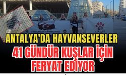 Antalya'da hayvanseverler 41 gündür kuşlar için feryat ediyor