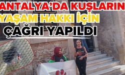 Antalya'da kuşların yaşam hakkı için çağrı yapıldı