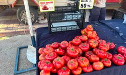 Antalya’da pazar fiyatları marketleri geride bıraktı