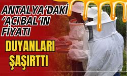 Antalya’daki ‘Acı bal’ın fiyatı duyanları şaşırttı