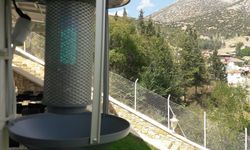 Antalya’daki tarımda yeni dönem! Tuzak üreticiyi koruyacak