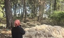 Antalya’ya 3 günlük yasak geldi