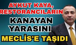 Aykut Kaya, restorancıların kanayan yarasını Meclis'e taşıdı