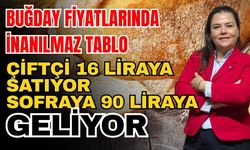 Buğday fiyatlarında inanılmaz tablo! Çiftçi 16 liraya satıyor, sofraya 90 liraya geliyor