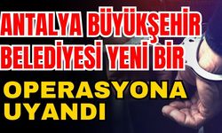 Antalya Büyükşehir Belediyesi yeni bir operasyona uyandı