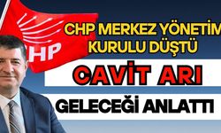 CHP merkez yönetim kurulu düştü Cavit Arı geleceği anlattı