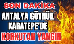 Son dakika... Antalya Göynük Karatepe'de korkutan yangın