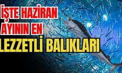 İşte haziran ayının en lezzetli balıkları