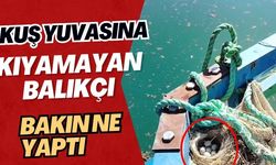 Kuş yuvasına kıyamayan balıkçı bakın ne yaptı