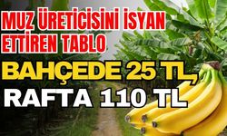 Muz üreticisini isyan ettiren tablo: Bahçede 25 TL, rafta 110 TL