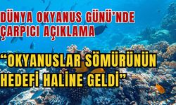 Dünya Okyanus Günü’nde çarpıcı açıklama: “Okyanuslar sömürünün hedefi haline geldi”