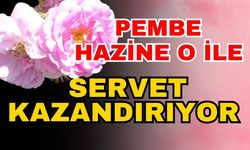 Pembe hazine o ile servet kazandırıyor