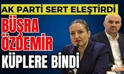 Ak Parti eleştirdi Büşra Özdemir sert çıktı