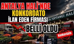 Antalya Hali’nde konkordato ilan eden firma belli oldu