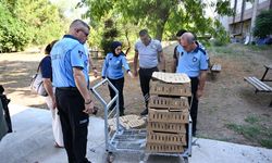 Antalya Otogarında civciv operasyonu! 700 civcive el konuldu