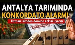 Antalya tarımında konkordato alarmı! Uzman isimden domino etkisi uyarısı