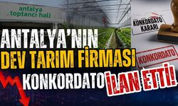 Antalya’nın dev tarım firması konkordato ilan etti