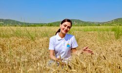 Antalya’da atıl arazilerdeki buğdaylar sofralara ulaşacak