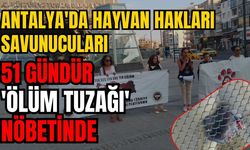 Antalya'da hayvan hakları savunucuları 51 gündür 'Ölüm tuzağı' nöbetinde