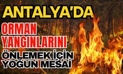 Antalya’da orman yangınlarını önlemek için yoğun mesai