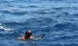 Antalya’da tekne kaptanı carettanın hayatını kurtardı