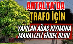 Antalya’da trafo için yapılan ağaç kıyımına mahalleli engel oldu