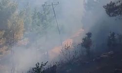 Antalya’daki orman yangınlarının sebebi elektrik mi?