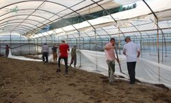 Antalya’daki seralarda yeni dönem başlıyor