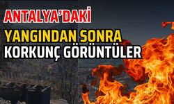 Antalya’daki yangından sonra korkunç görüntüler