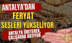 Antalya’dan feryat sesleri yükseliyor! Antalya üreterek, çalışarak batıyor