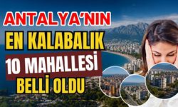 Antalya'nın en kalabalık 10 mahallesi belli oldu