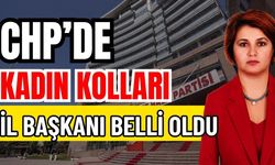 CHP Antalya kadın Kolları İl Başkanı belli oldu