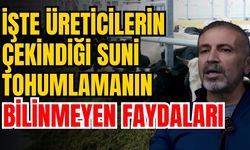 İşte üreticilerin çekindiği suni tohumlamanın bilinmeyen faydaları