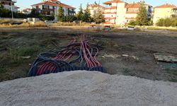 Korkuteli Belediyesi ağaçları katletti